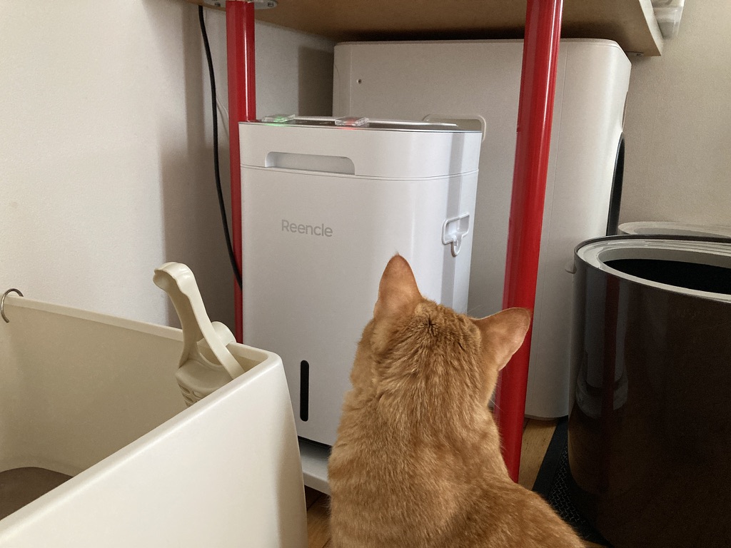 自然素材の猫砂を使ってみた感想｜生ごみ処理機で使用可能なもの